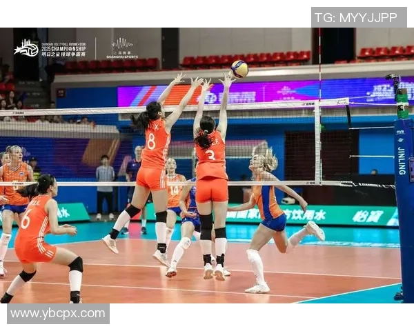 成都排球队在全国排球比赛经验排行榜中荣获第五名的辉煌成就