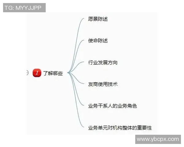 上海排球队在欧锦赛中的技术表现分析与启示