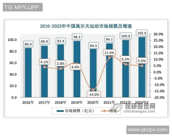 南京篮球队实力分析与赛季表现评估的深度研究与探讨