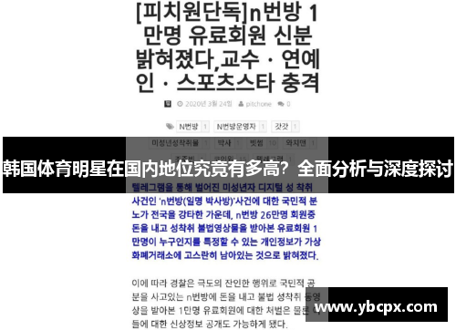 韩国体育明星在国内地位究竟有多高？全面分析与深度探讨